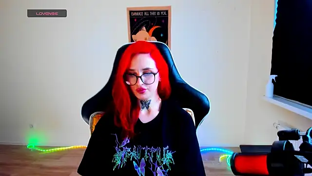 your_tora webcam