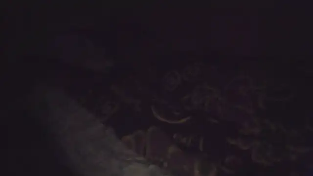 JoaoPinto0 webcam
