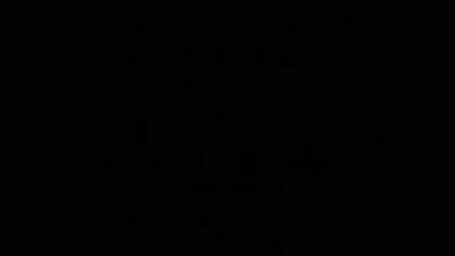 NuttyProfesir webcam