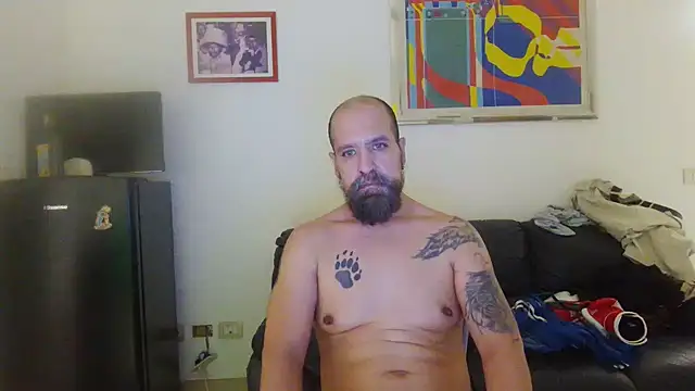 AMIRDIB2025 webcam