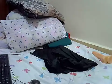 verl1 webcam