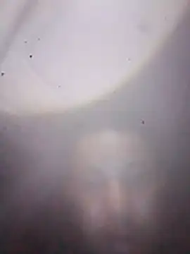 R-ant12 webcam
