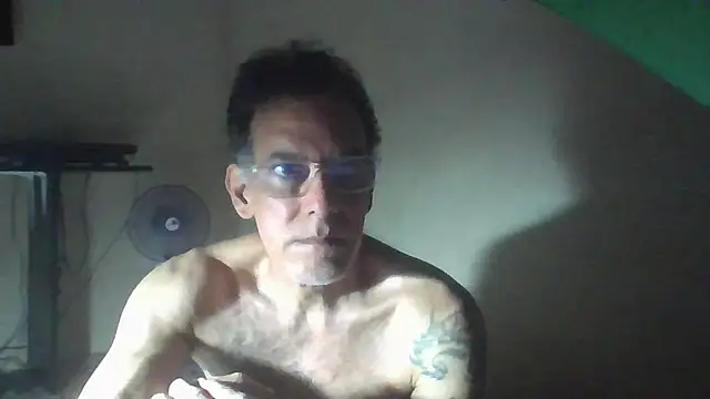 CaptainFox webcam