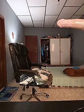 Danelyhit webcam