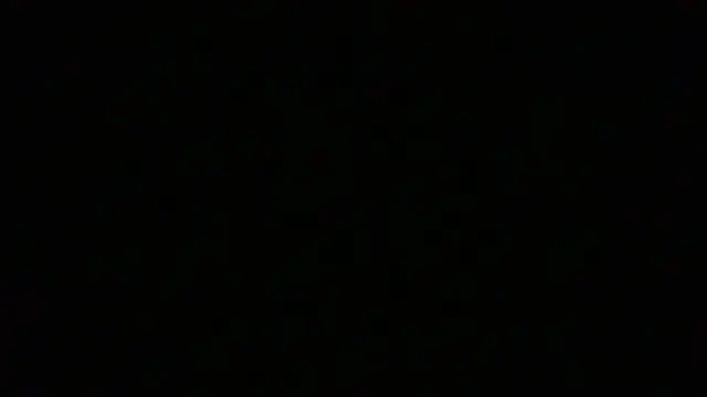 NuttyProfesir webcam