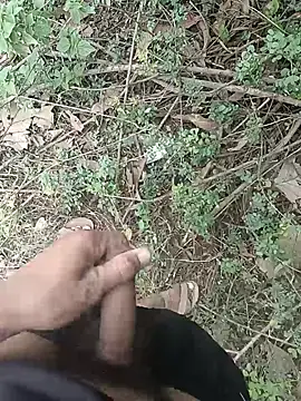 Forest_lover24