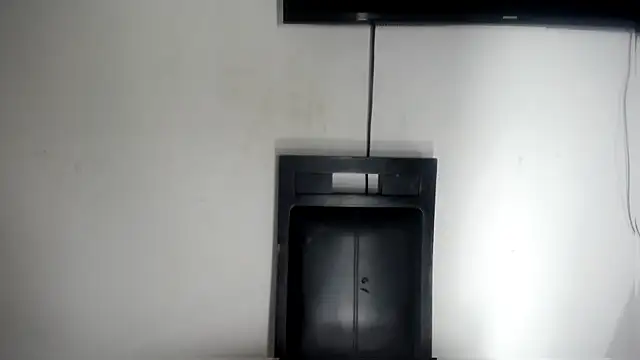 Fox_Loves