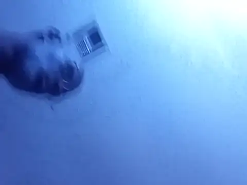 Blkstylion webcam