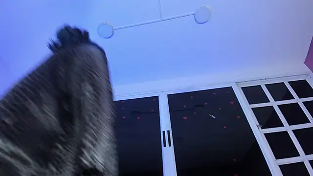 ReiAyanamy webcam