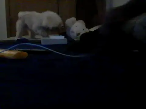 Silencio26 webcam