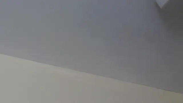 LeiaHuk webcam