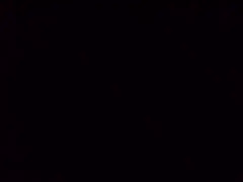 LadyAnn19 webcam