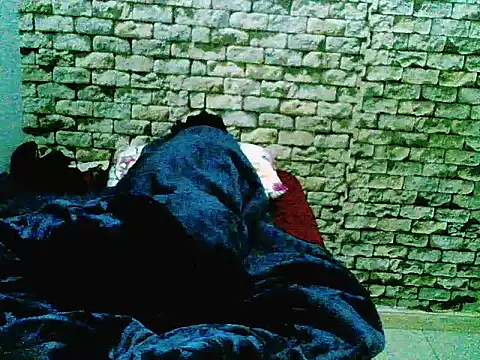 ProratedCribbage webcam