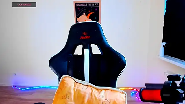 your_tora webcam