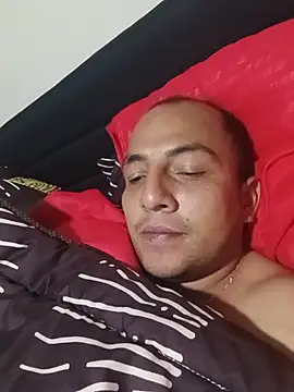 BisfR webcam