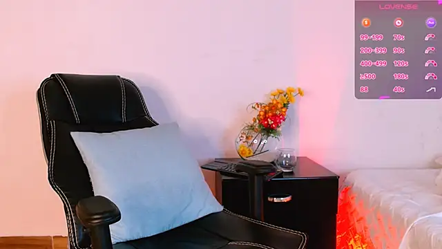 Dann-Winner webcam