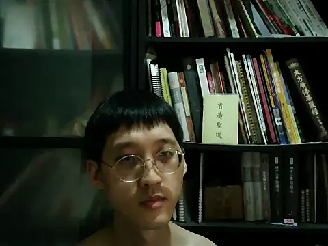 Lv8763 webcam
