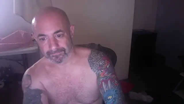 palidin1 webcam