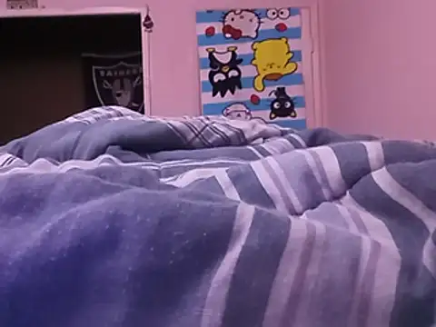 Blkstylion webcam