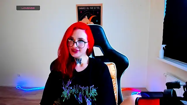 your_tora webcam