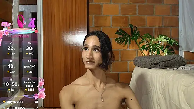 skyyfoxpraga webcam