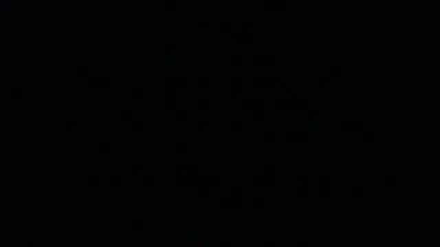 NuttyProfesir webcam