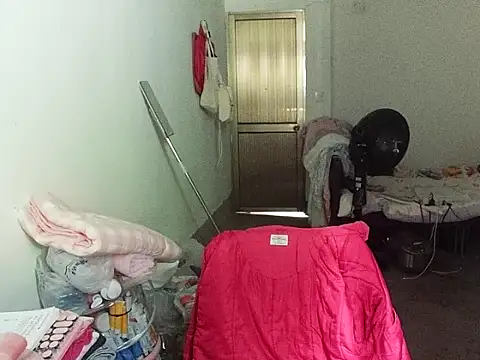 RebelAura webcam