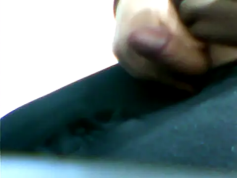 ger211 webcam