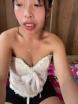 Hikomy- webcam