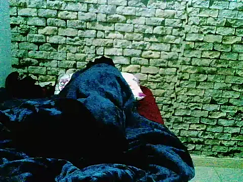 ProratedCribbage webcam