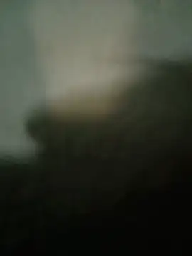 Ary- webcam