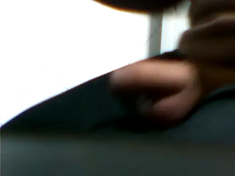 ger211 webcam