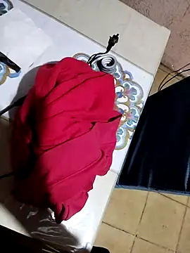 Docar01 webcam