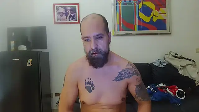 AMIRDIB2025 webcam