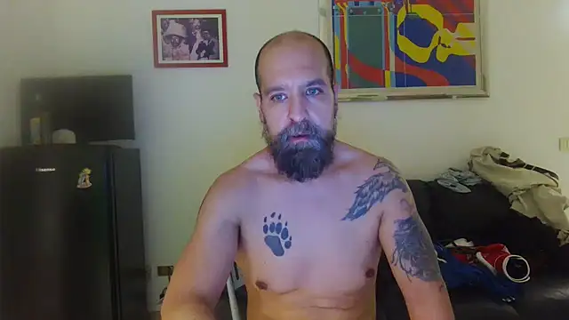 AMIRDIB2025