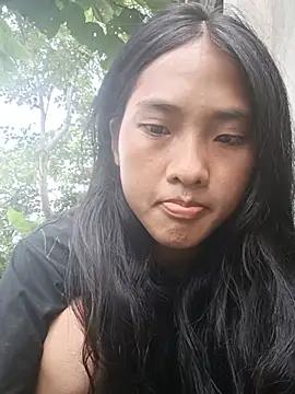 Hoa-tuylip webcam
