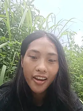 Hoa-tuylip webcam