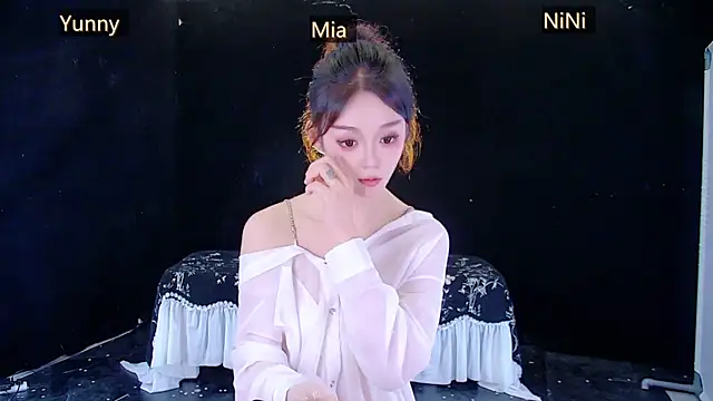 MiNi-U webcam