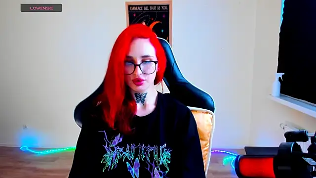 your_tora webcam