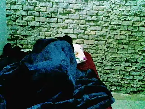 ProratedCribbage webcam