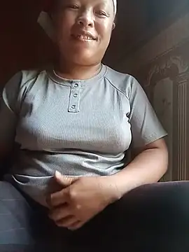 Ip34 webcam