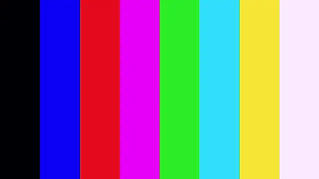 HermaFrain webcam