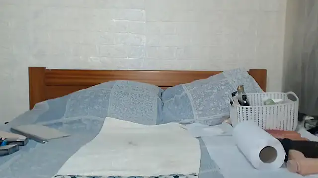 awild_kitten webcam
