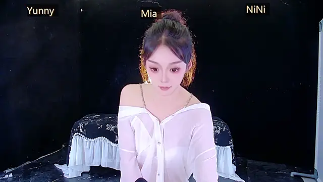 MiNi-U webcam