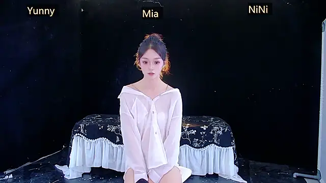 MiNi-U webcam