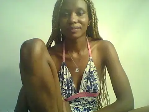 DelteAfriq webcam