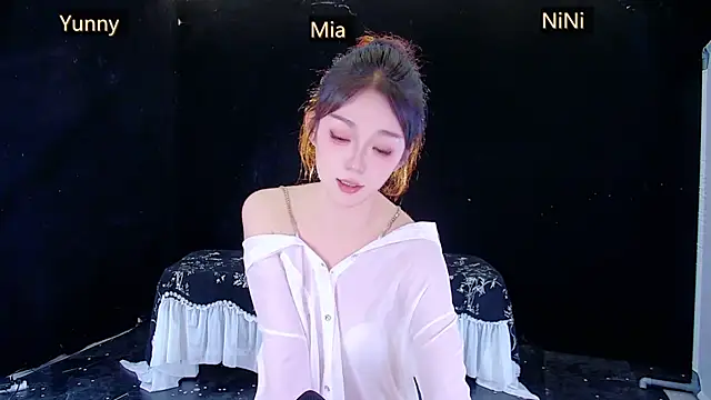 MiNi-U webcam