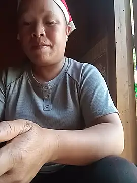 Ip34 webcam