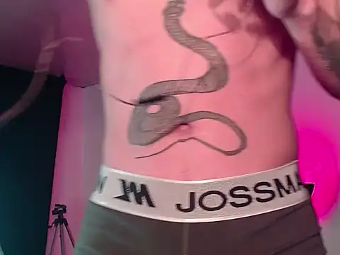 SnakeNFiire webcam