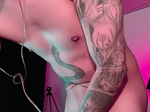 SnakeNFiire webcam